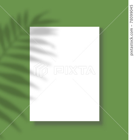 Poster with shadow. Blank paper sheet page with palm tree shadow overlay, white vertical canvas on wall. Presentation vector template 78099045