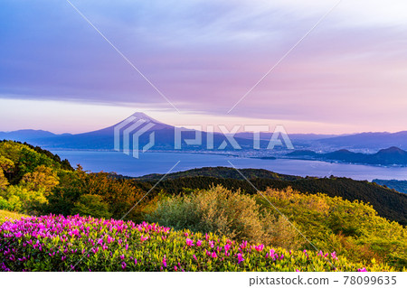 (Shizuoka Prefecture) Mt. Fuji over Suruga Bay, seen from the Tatsumayama Kogen Rest House in the early morning (Shizuoka Prefecture) Mt. Fuji over Suruga Bay, seen from the Tatsumayama Kogen Rest House in the early morning 78099635