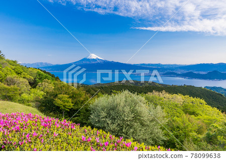 (靜岡縣)清晨從達摩山高原休息所看到的駿河灣上的富士山 (靜岡縣)清晨從達摩山高原休息所看到的駿河灣上的富士山 78099638