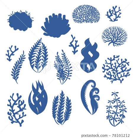 Corals and seaweeds silhouettes. Underwater plants, sea reef weed, aquarium floral elements. Laminaria, algae and coral isolated vector set 78101212