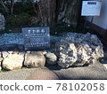 Saba stone 78102058