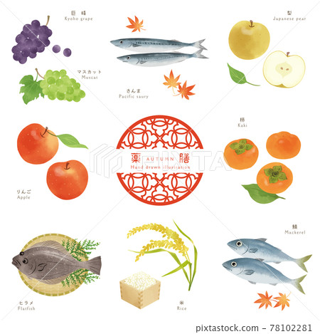 Autumn Yakuzen-2 / Hand-drawn illustrations of ingredients Autumn Yakuzen-2 / Hand-drawn illustrations of ingredients 78102281