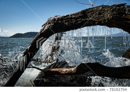 Lake Biwa's natural art "Splash Ice" Lake Biwa's natural art "Splash Ice" 78102704