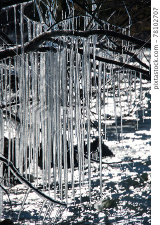 琵琶湖的自然藝術“飛濺冰” 78102707