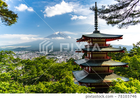 山梨縣富士吉田市富士山風景名勝區夏季忠義塔 78103746