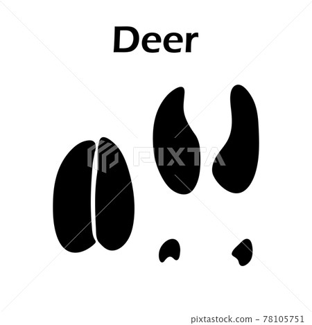 Deer Footprint 78105751