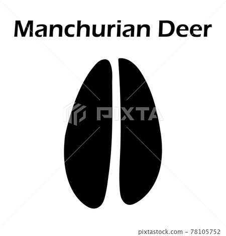 Manchurian Deer Footprint 78105752