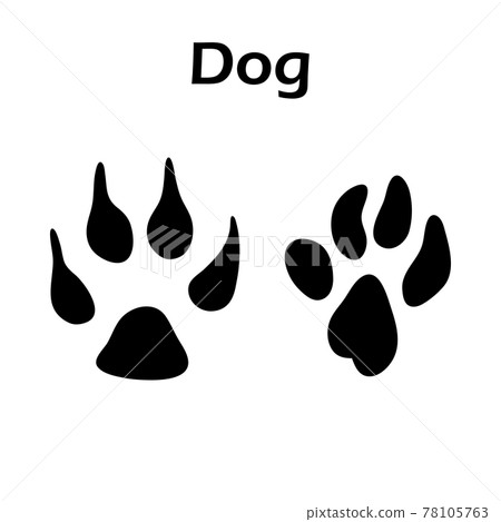 Dog Footprint 78105763