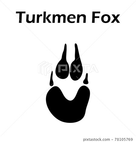 Turkmen Fox Footprint Turkmen Fox Footprint 78105769