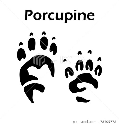 Porcupine Footprint Porcupine Footprint 78105778