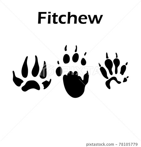 Fitchew Footprint 78105779