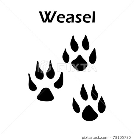 Weasel Footprint 78105780