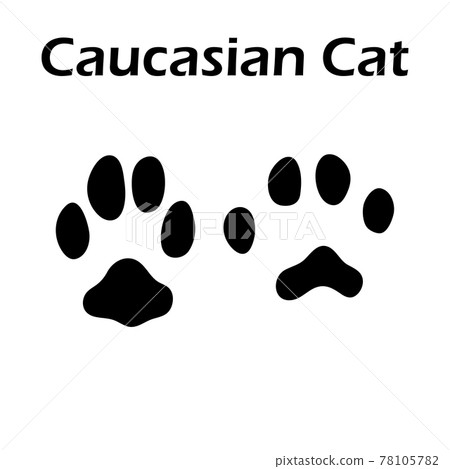 Caucasian Cat Footprint 78105782