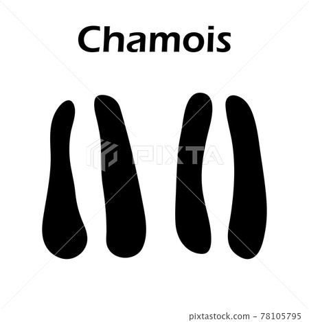 Chamois Footprint Chamois Footprint 78105795