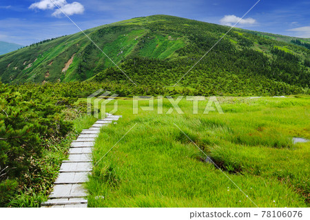 Road to the top of Echigo Hiragatake mountain 78106076