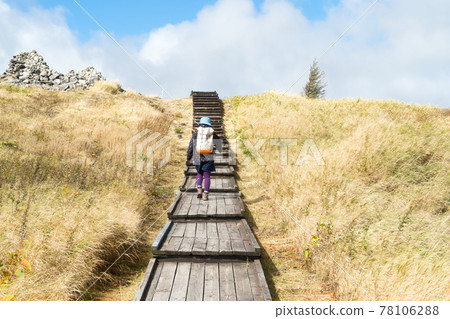 Woman walking on a wooden path Woman walking on a wooden path 78106288