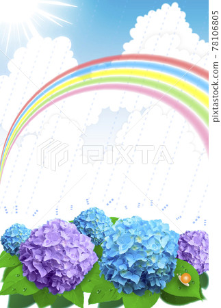 藍紫色繡球花雨虹豎版 藍紫色繡球花雨虹豎版 78106805