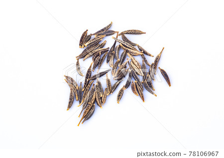 Cosmos seeds 78106967