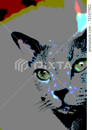 貓背景材料俄羅斯藍 貓背景材料俄羅斯藍 78107902