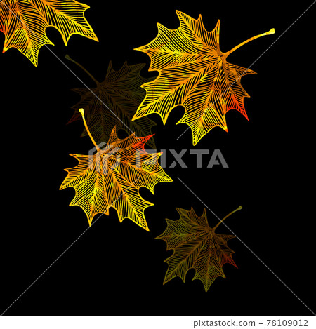 Yellow autumn leaf. Maple yellow leaf on a black background. . Mixed media. Vector illustration Yellow autumn leaf. Maple yellow leaf on a black background. . Mixed media. Vector illustration 78109012