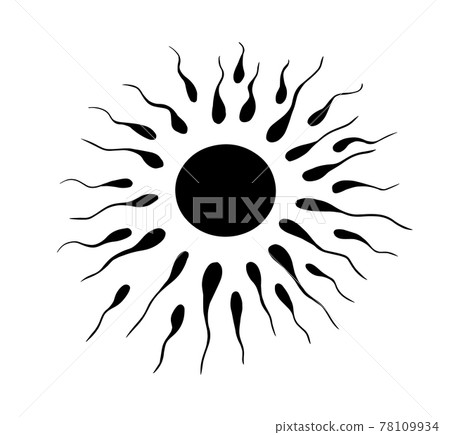 Egg and sperm. Vector illustration Egg and sperm. Vector illustration 78109934