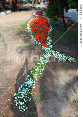 台南百花季 台南百花季 78111300
