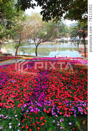 台南百花季 台南百花季 78111301