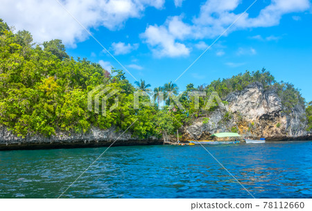 Boats and a Small Jetty off a Tropical Island Boats and a Small Jetty off a Tropical Island 78112660