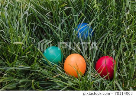 painted and decorative Easter eggs in the grass. Top view, copy space painted and decorative Easter eggs in the grass. Top view, copy space 78114003