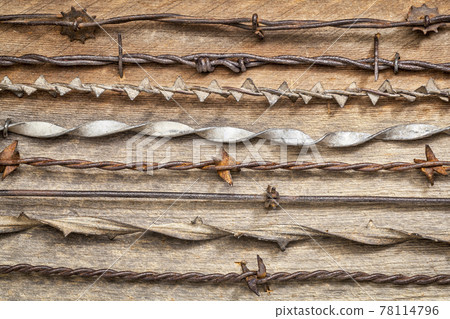 Antique deals barbed wire