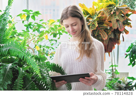 teenager girl looking at pc tablet standing among large geen plants. home jungle concept. looking for plant care tips. gardening hobby for teenagers. teenager girl looking at pc tablet standing among large geen plants. home jungle concept. looking for plant care tips. gardening hobby for teenagers. 78114828