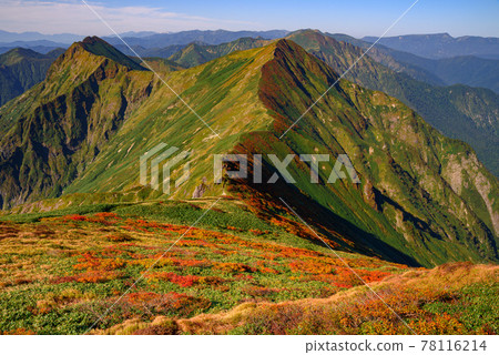 Tanigawa mountain range main ridgeline in the autumn leaves season Tanigawa mountain range main ridgeline in the autumn leaves season 78116214