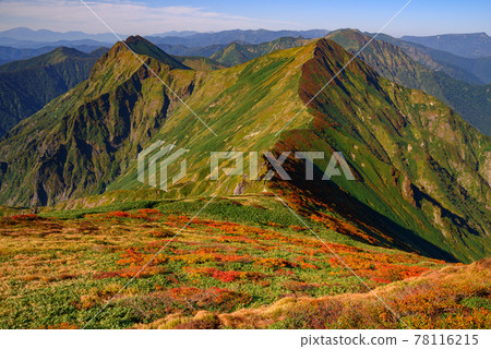 Tanigawa mountain range in the autumn leaves season Tanigawa mountain range in the autumn leaves season 78116215