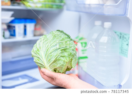 A woman's hand taking out cabbage from the refrigerator for cooking Refrigerator with the door open 78117345