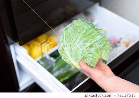 A woman's hand taking out cabbage from the refrigerator for cooking Refrigerator with the door open 78117515