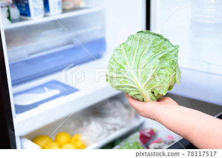 A woman's hand taking out cabbage from the refrigerator for cooking Refrigerator with the door open A woman's hand taking out cabbage from the refrigerator for cooking Refrigerator with the door open 78117517