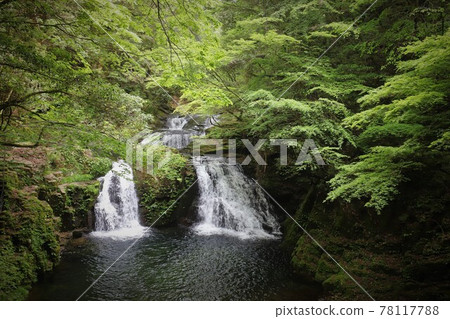 Fresh green red-eye-red waterfall Fresh green red-eye-red waterfall 78117788