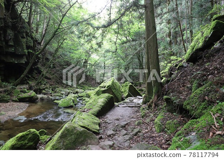 Fresh green red-eye-red waterfall 78117794