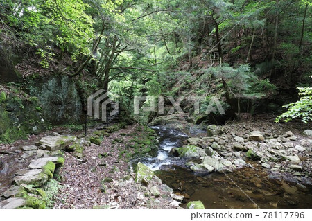 Fresh green red-eye-red waterfall 78117796