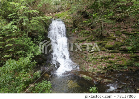 Fresh green red-eye-red waterfall 78117806