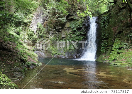 Fresh green red-eye-red waterfall Fresh green red-eye-red waterfall 78117817