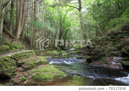 Fresh green red-eye-red waterfall 78117830