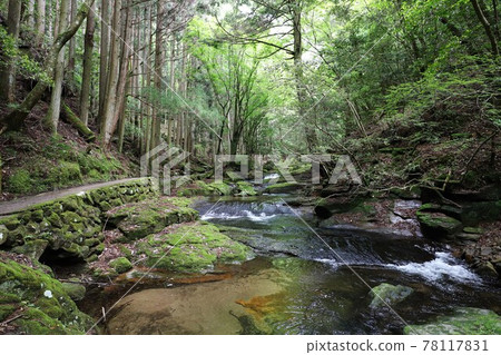 Fresh green red-eye-red waterfall Fresh green red-eye-red waterfall 78117831