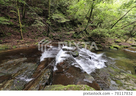 Fresh green red-eye-red waterfall 78117832