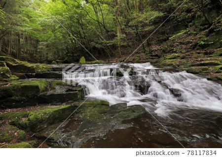Fresh green red-eye-red waterfall Fresh green red-eye-red waterfall 78117834