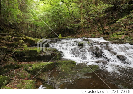 Fresh green red-eye-red waterfall Fresh green red-eye-red waterfall 78117836