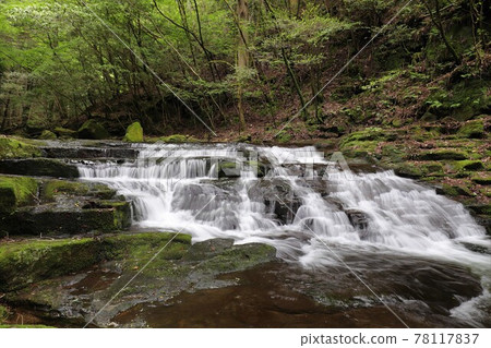 Fresh green red-eye-red waterfall 78117837