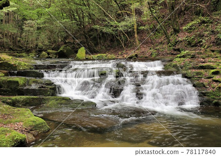 Fresh green red-eye-red waterfall Fresh green red-eye-red waterfall 78117840