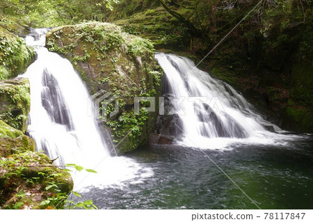 Fresh green red-eye-red waterfall Fresh green red-eye-red waterfall 78117847
