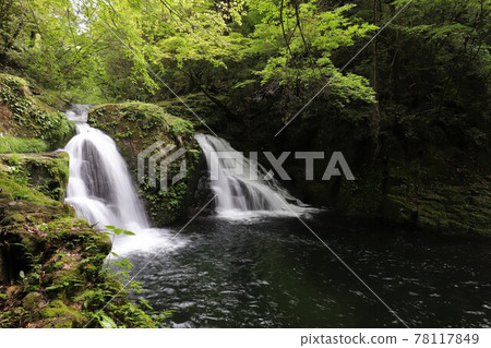 Fresh green red-eye-red waterfall 78117849